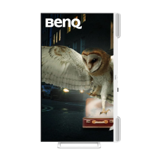BenQ EW3290U 32 Inch (31.5 Inch Viewable) 4K UHD Display Tri HDMI, USB, USB-C Professional Monitor